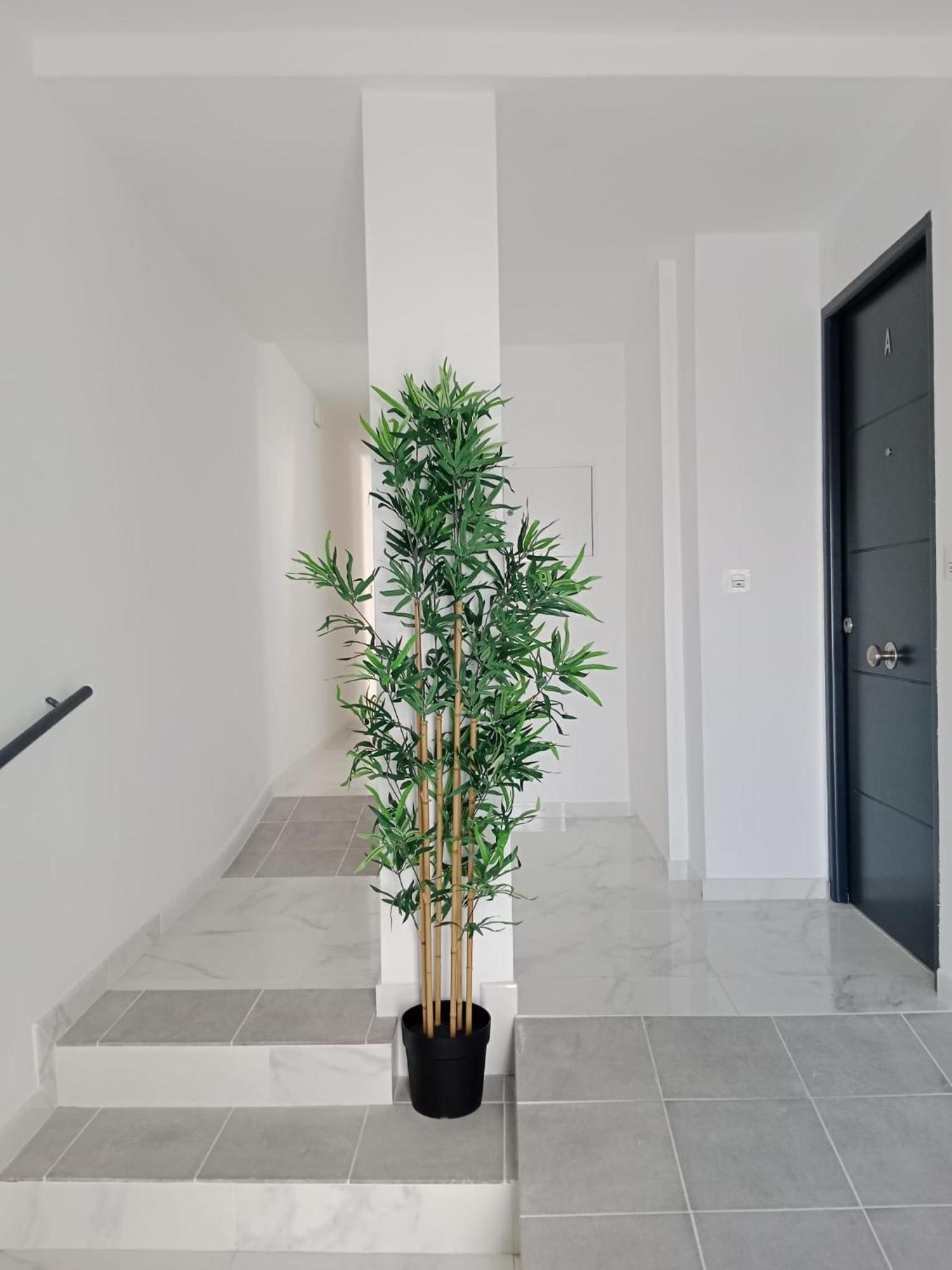 Apartamento Gloria Bendita Jerez de la Frontera Kültér fotó